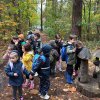 Herfstwandeling